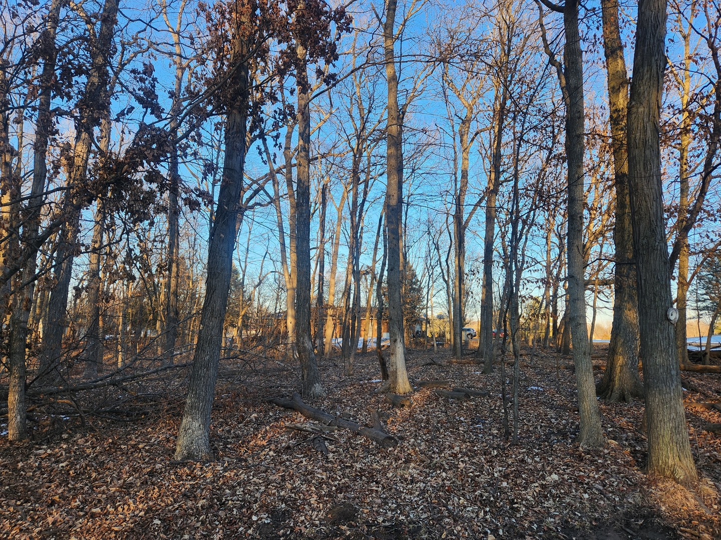 Lot 1101 Jay Court Property Photo