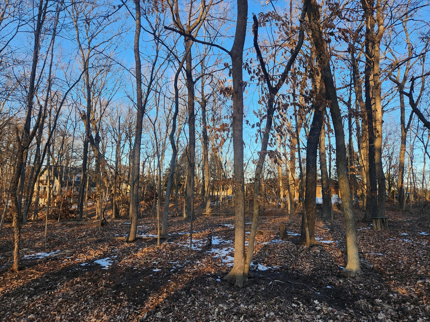 Lot 1102 Jay Court Property Photo