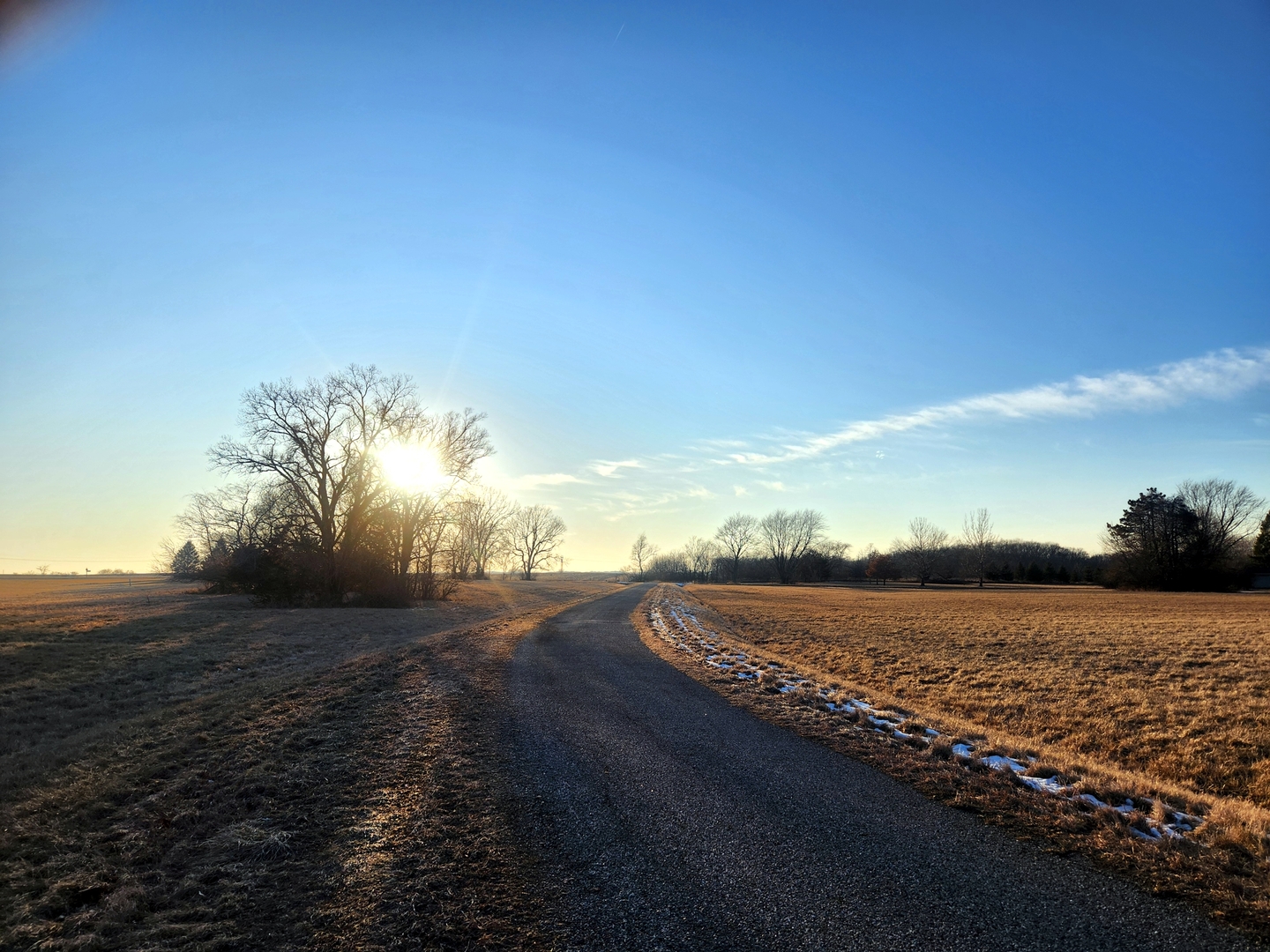 Lot 931 Willow Wood Drive Property Photo 2