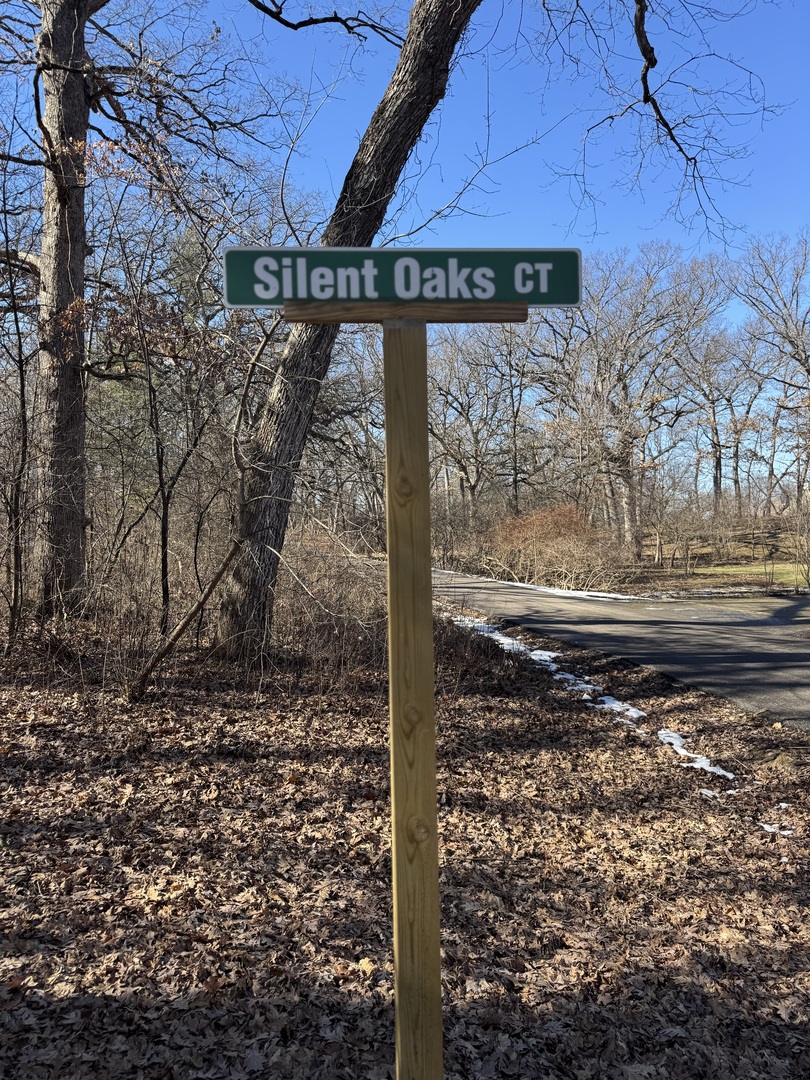 Lot 2 Silent Oaks Court Property Photo 3