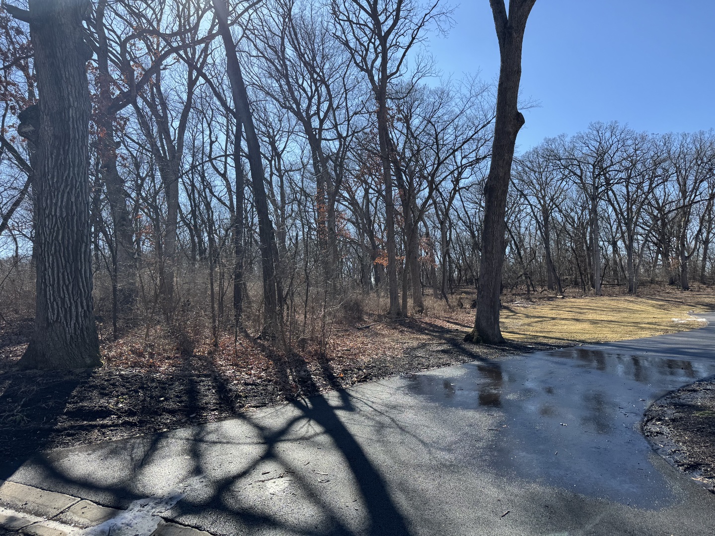 Lot 2 Silent Oaks Court Property Photo 9
