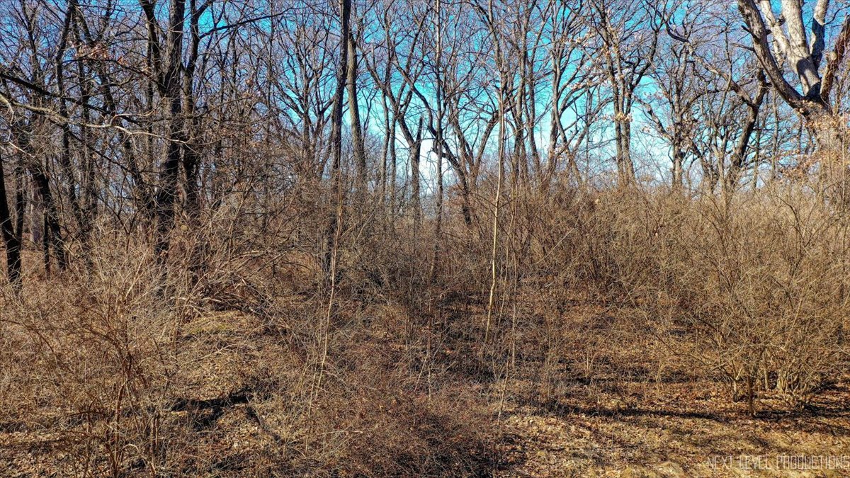 Lot 2 Silent Oaks Court Property Photo 15
