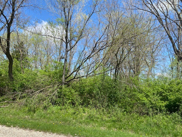 12 Skinner Drive Property Photo