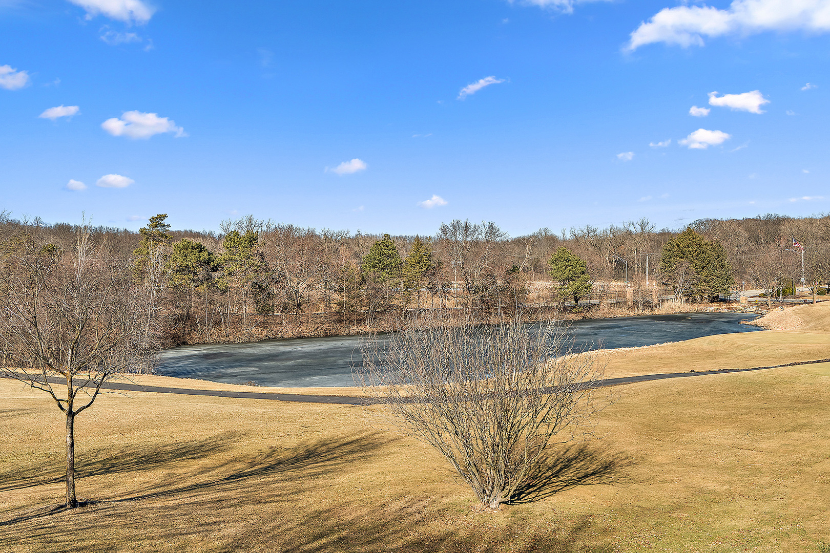 10546 Golf Road Property Photo 32
