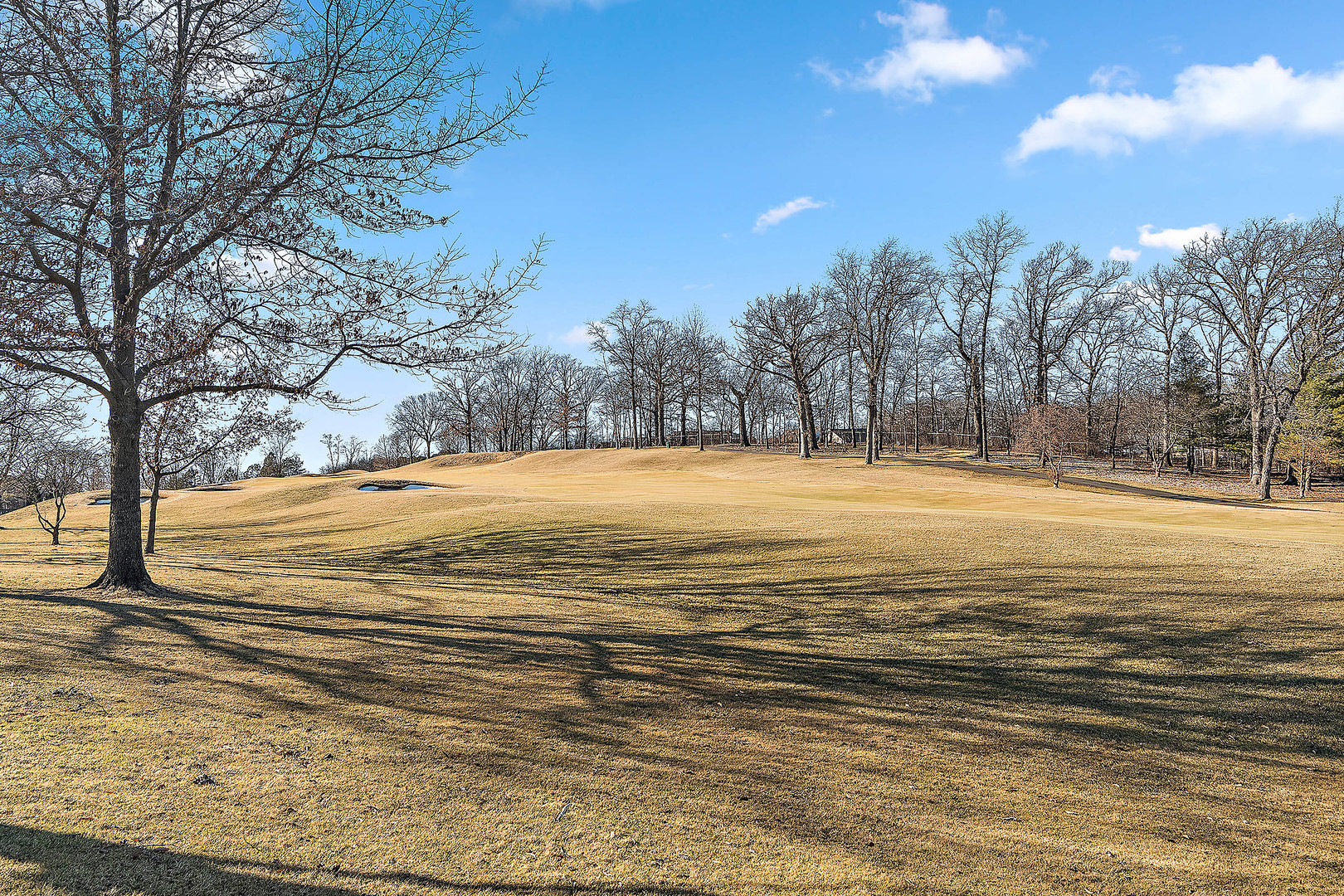 10546 Golf Road Property Photo 33