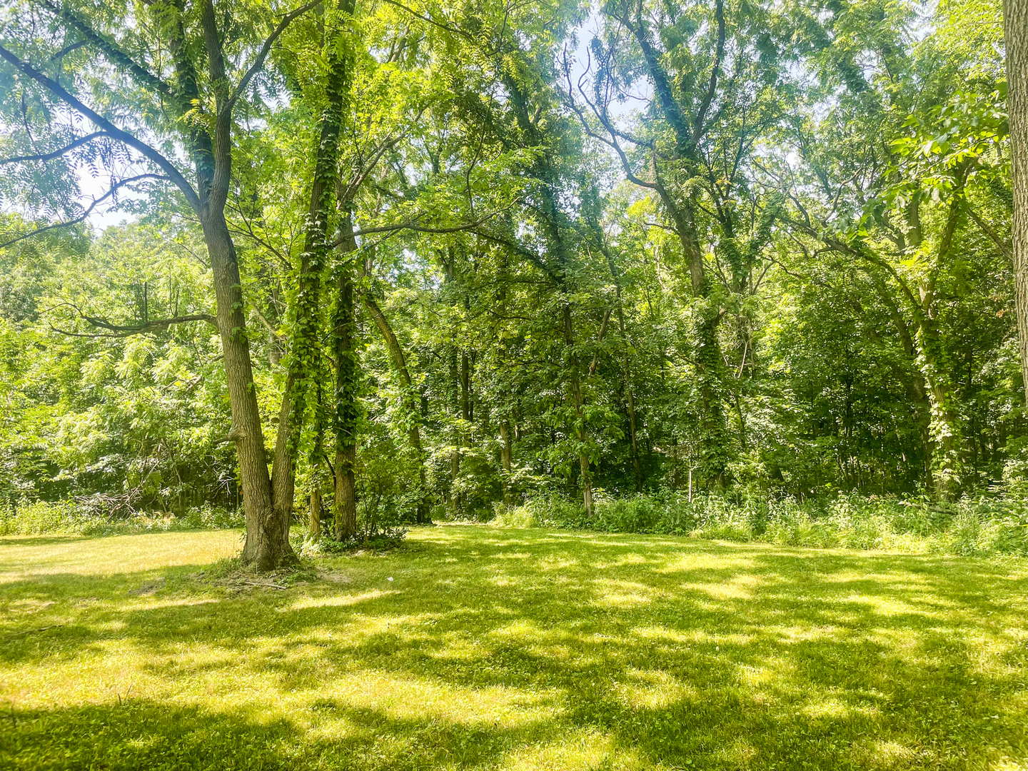 2115 Caton Road Property Photo 3