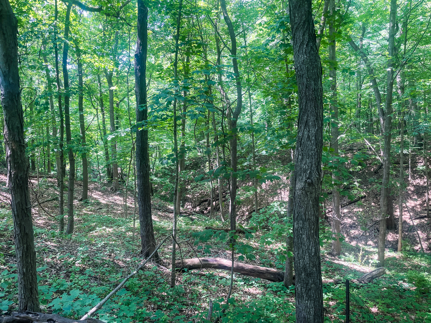 2115 Caton Road Property Photo 5