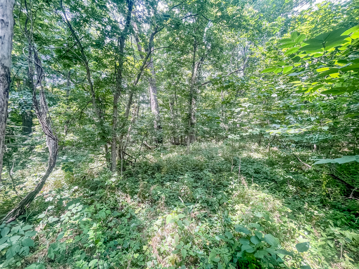 2115 Caton Road Property Photo 7