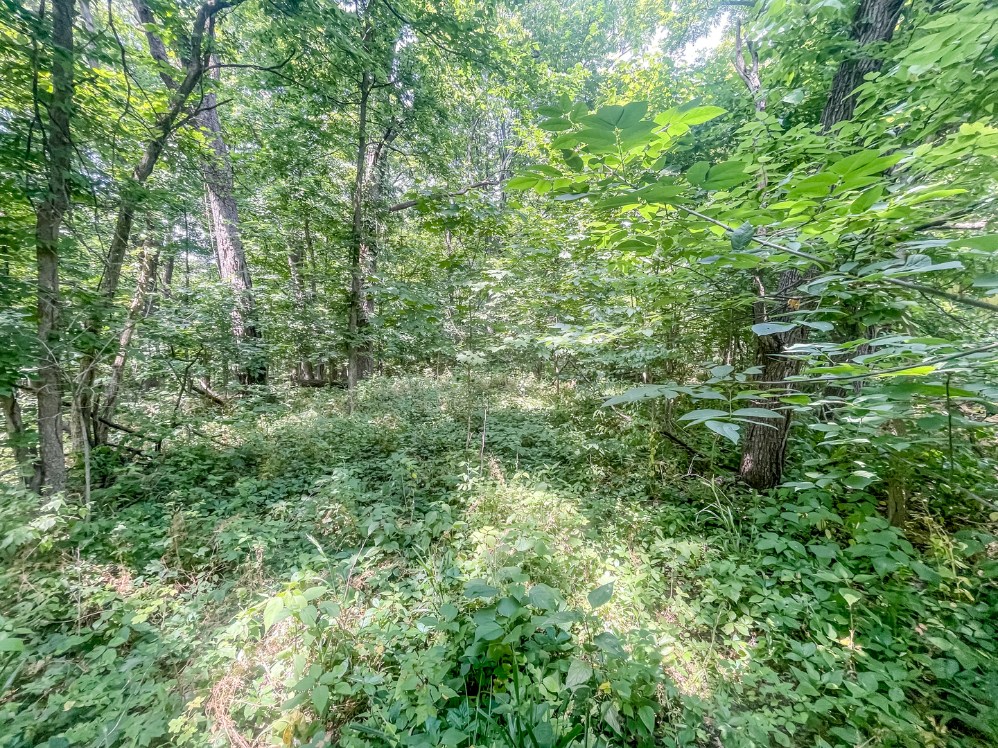 2115 Caton Road Property Photo 8