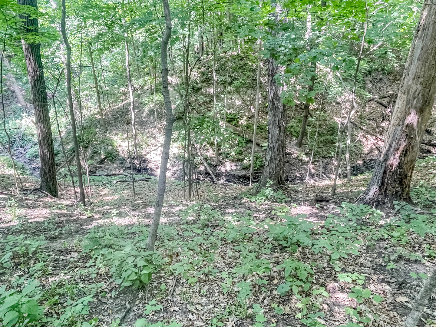 2115 Caton Road Property Photo 9
