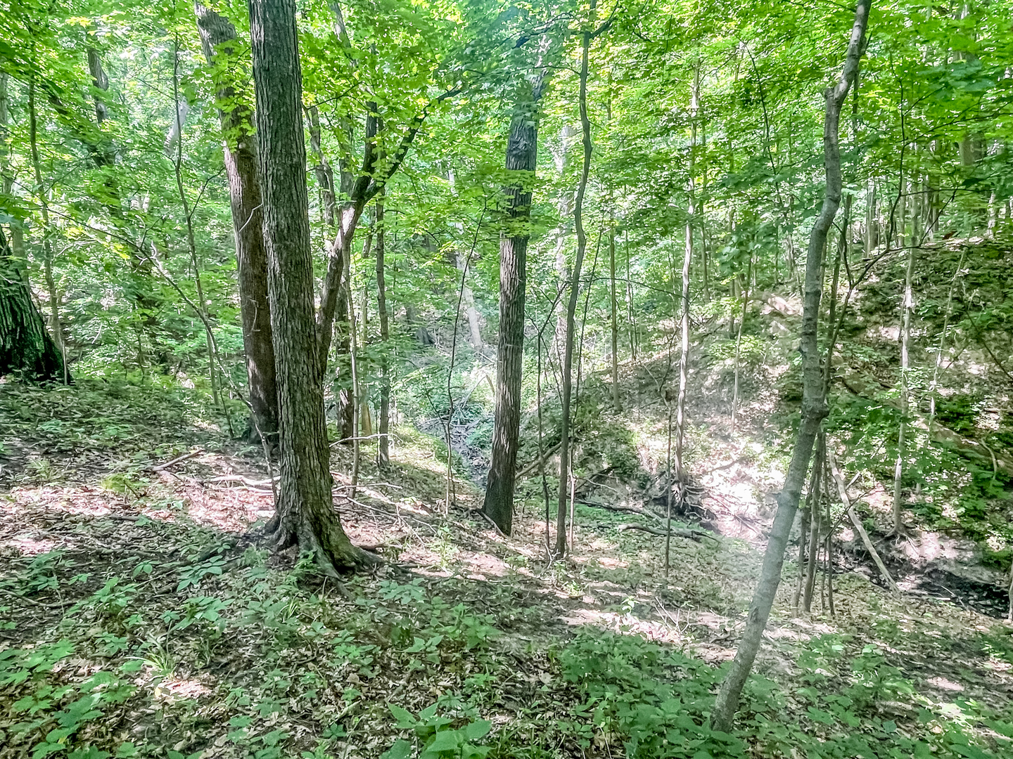 2115 Caton Road Property Photo 10