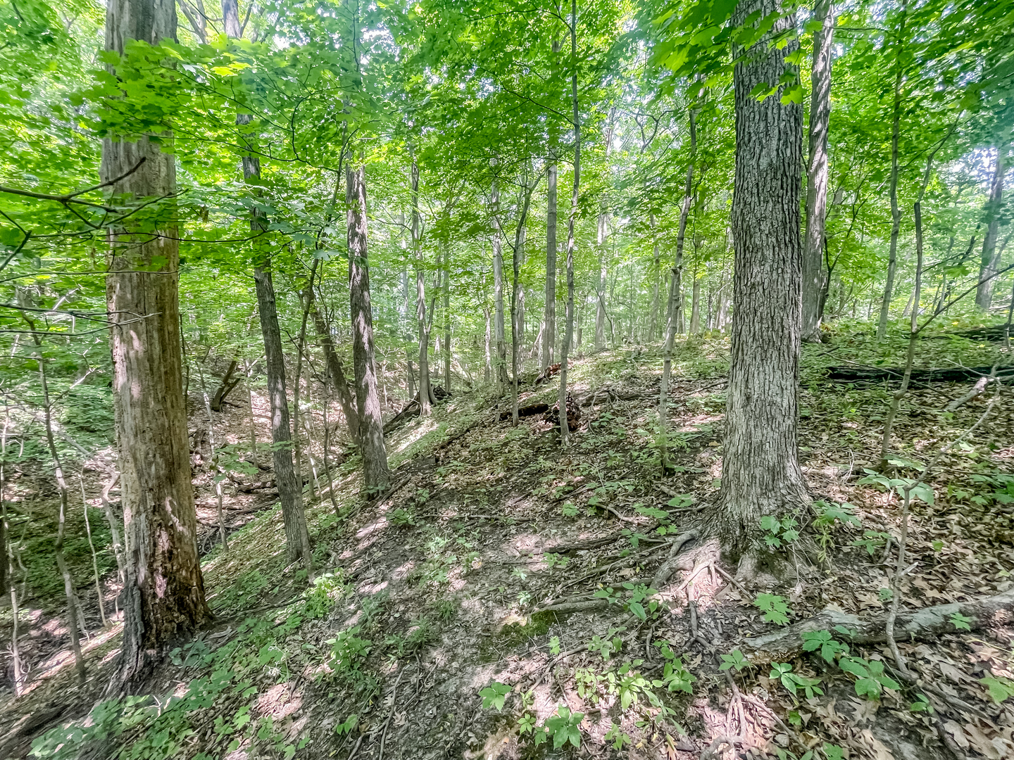 2115 Caton Road Property Photo 12