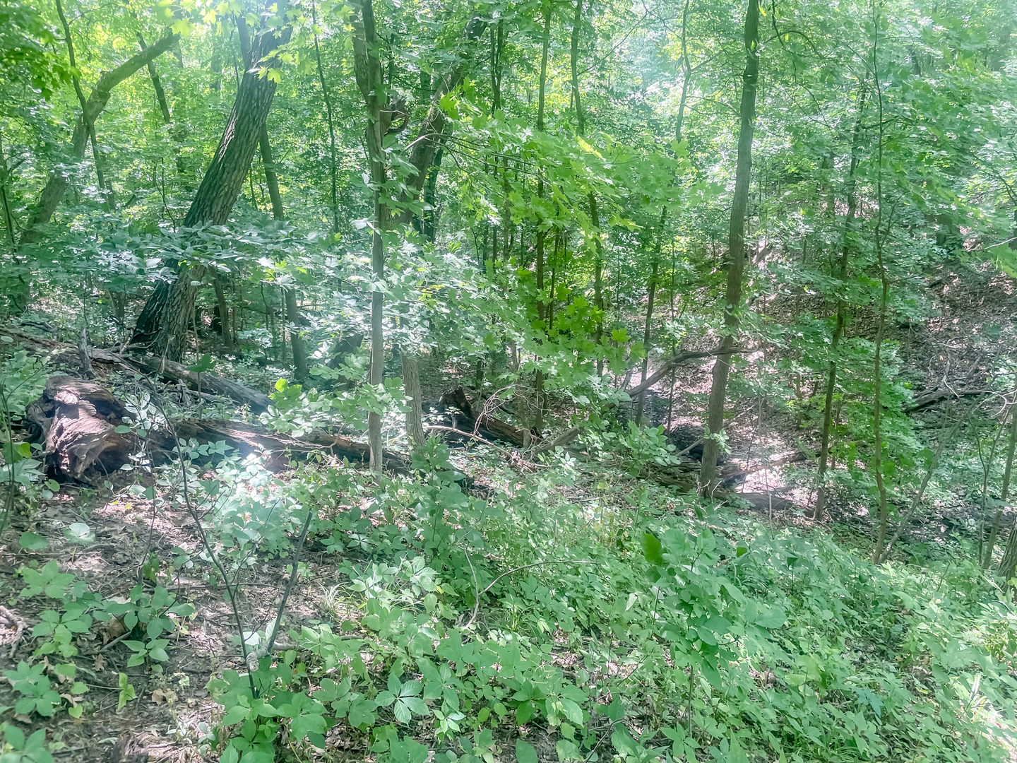 2115 Caton Road Property Photo 13