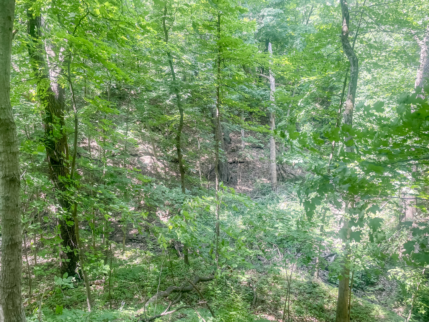 2115 Caton Road Property Photo 15