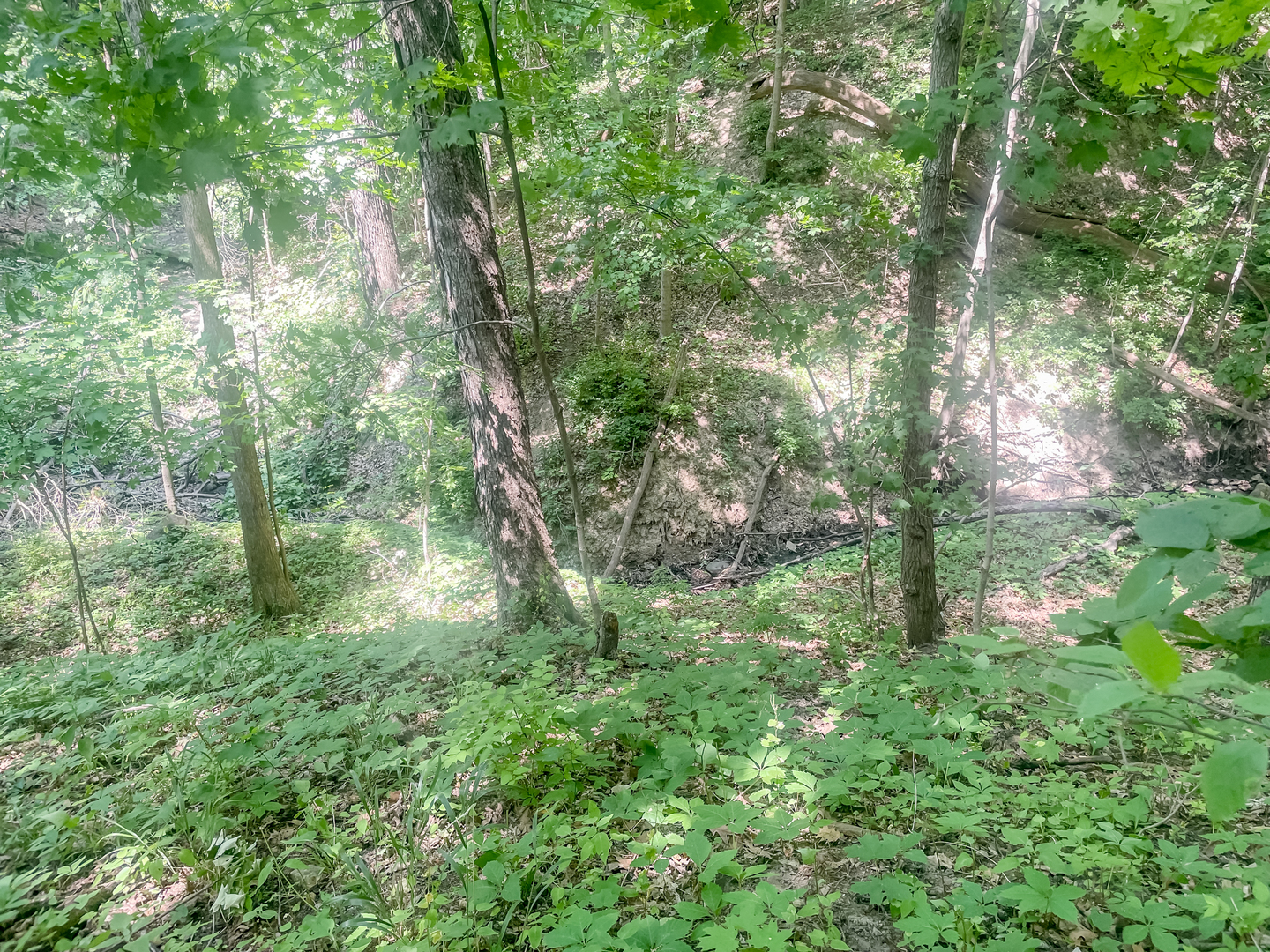 2115 Caton Road Property Photo 16