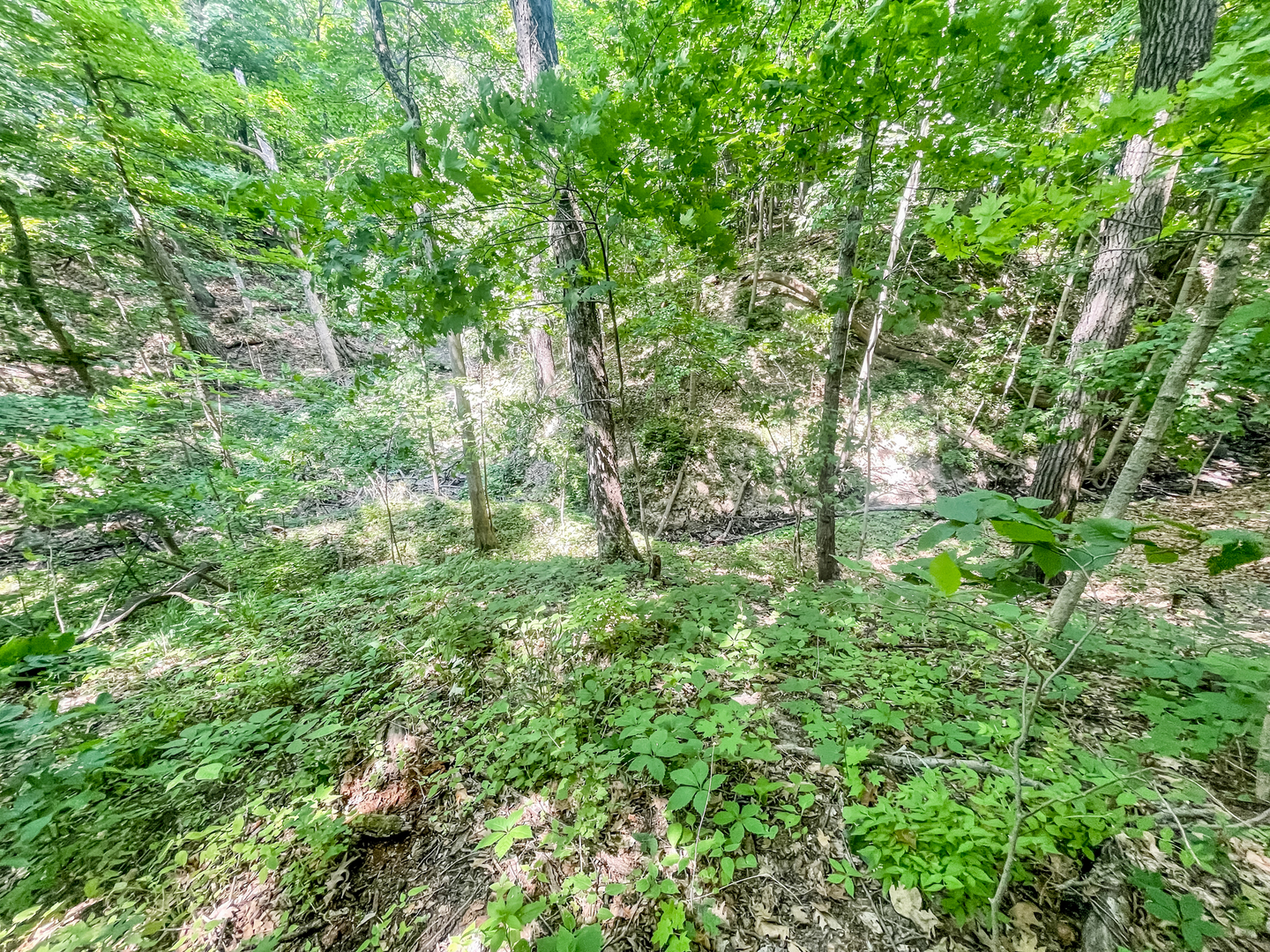2115 Caton Road Property Photo 17