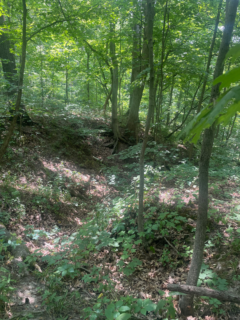 2115 Caton Road Property Photo 20