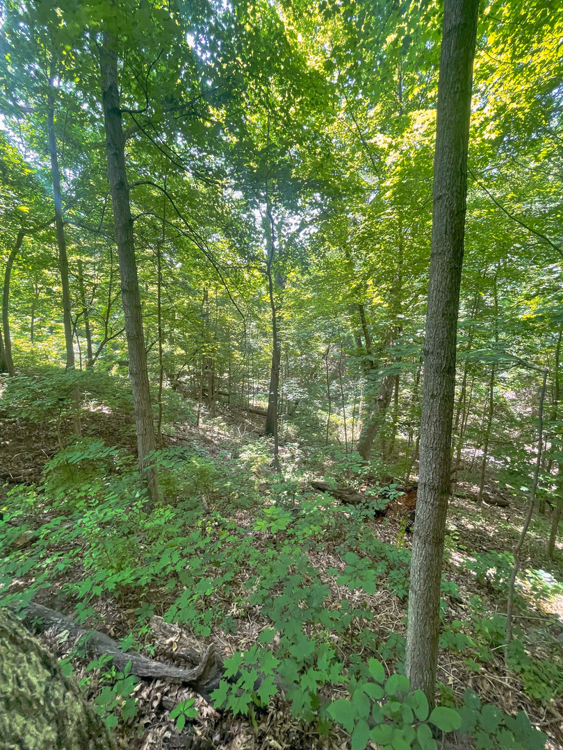 2115 Caton Road Property Photo 22