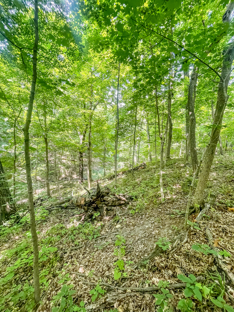 2115 Caton Road Property Photo 24