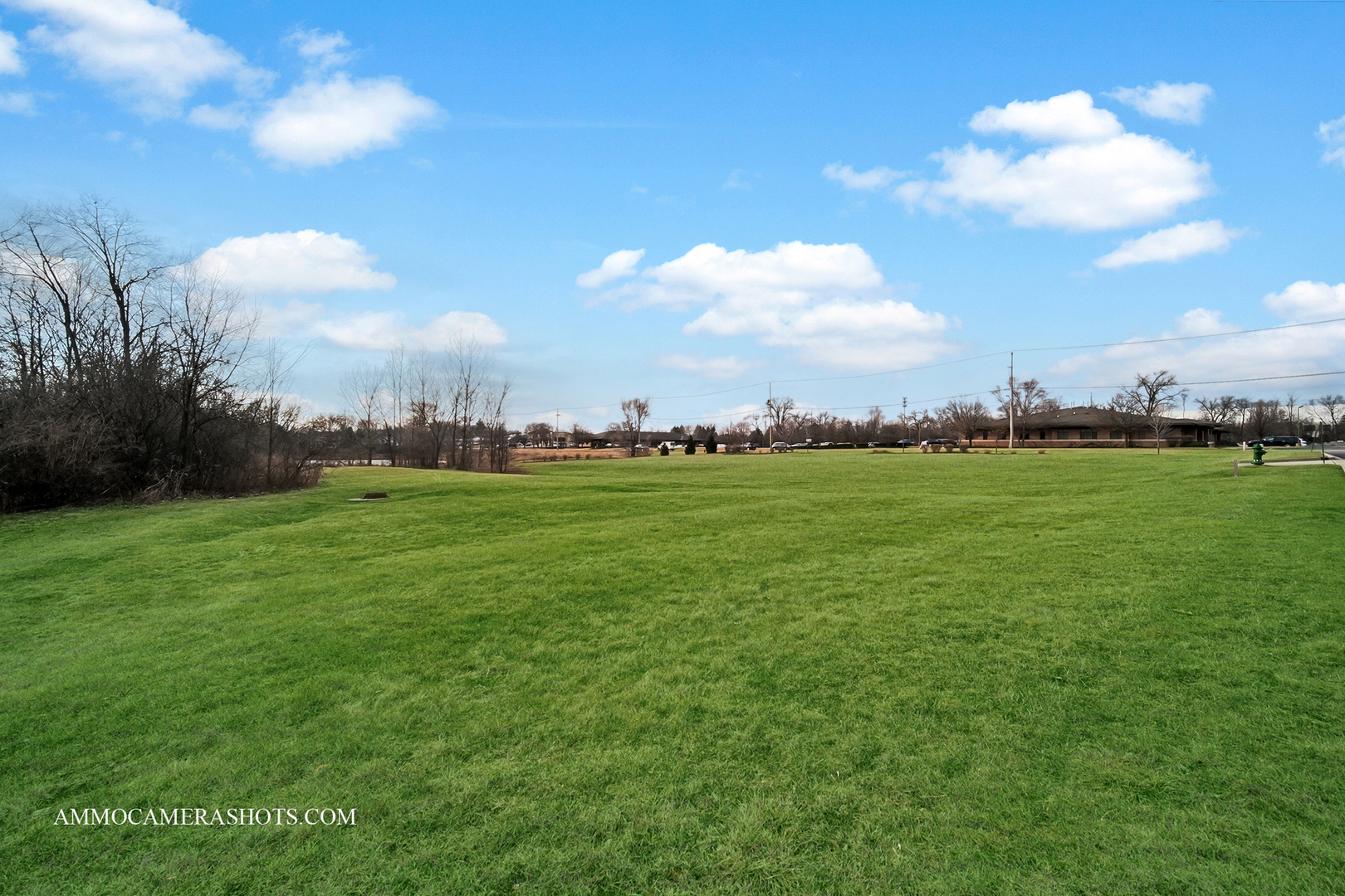 1078 E Wilson Street Property Photo 5