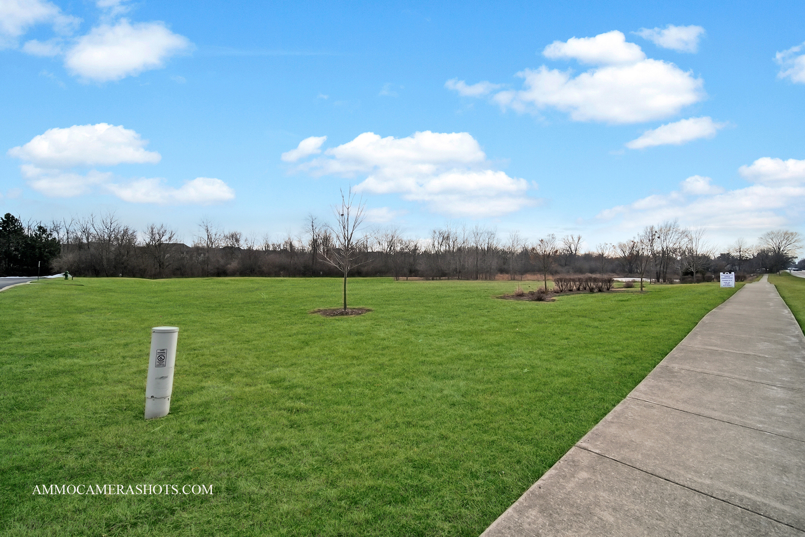 1078 E Wilson Street Property Photo 7