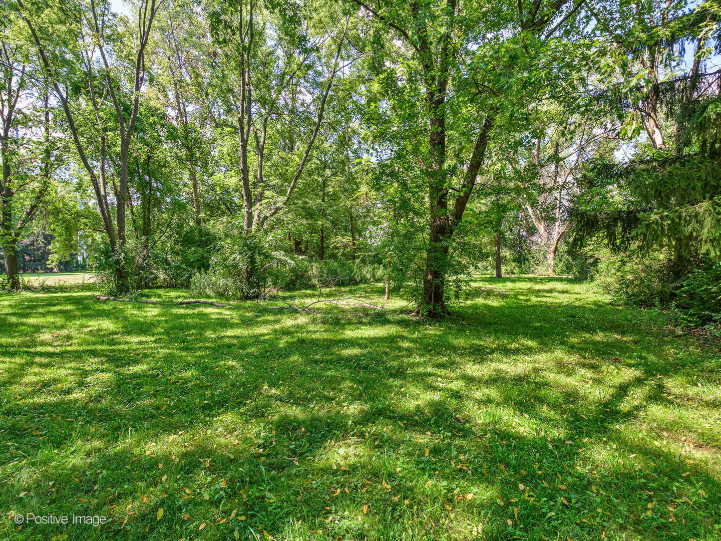 5107 N Arlington Heights Road Property Photo 9