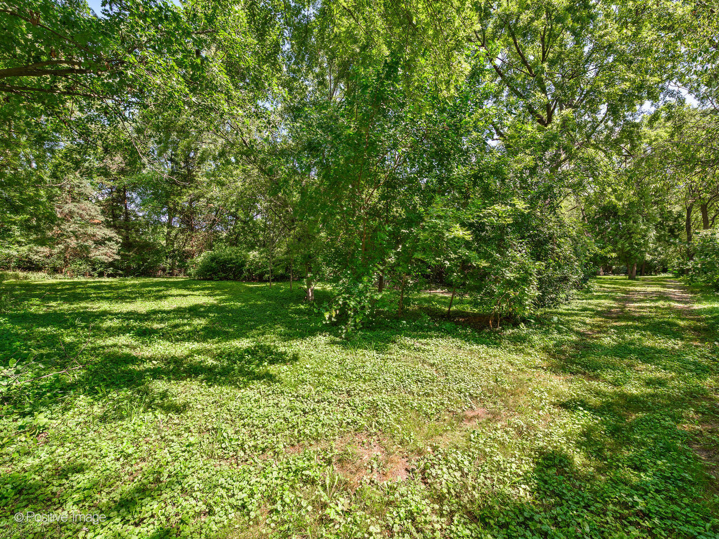 5107 N Arlington Heights Road Property Photo 10