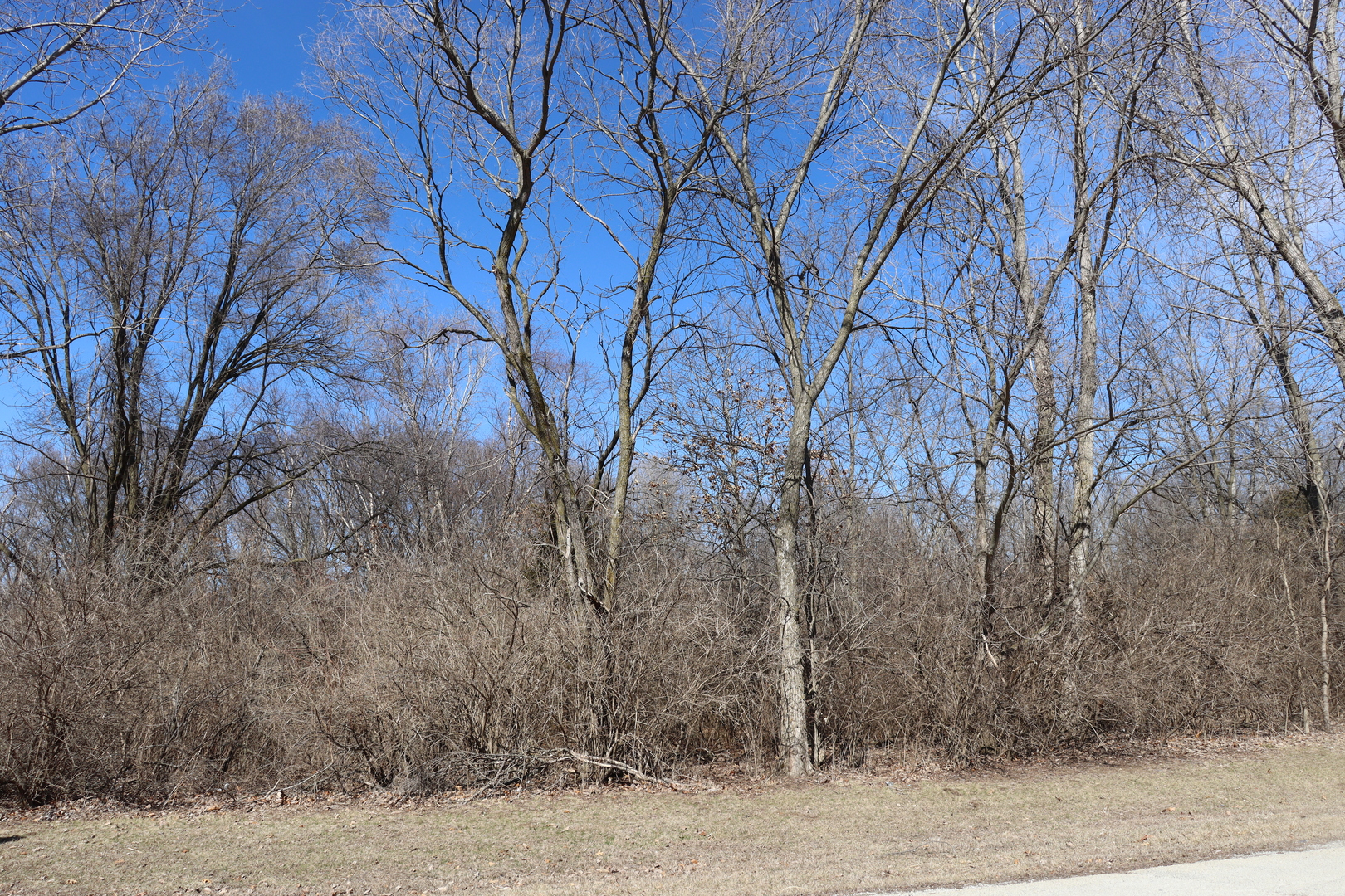 35 Birchwood Lane Property Photo