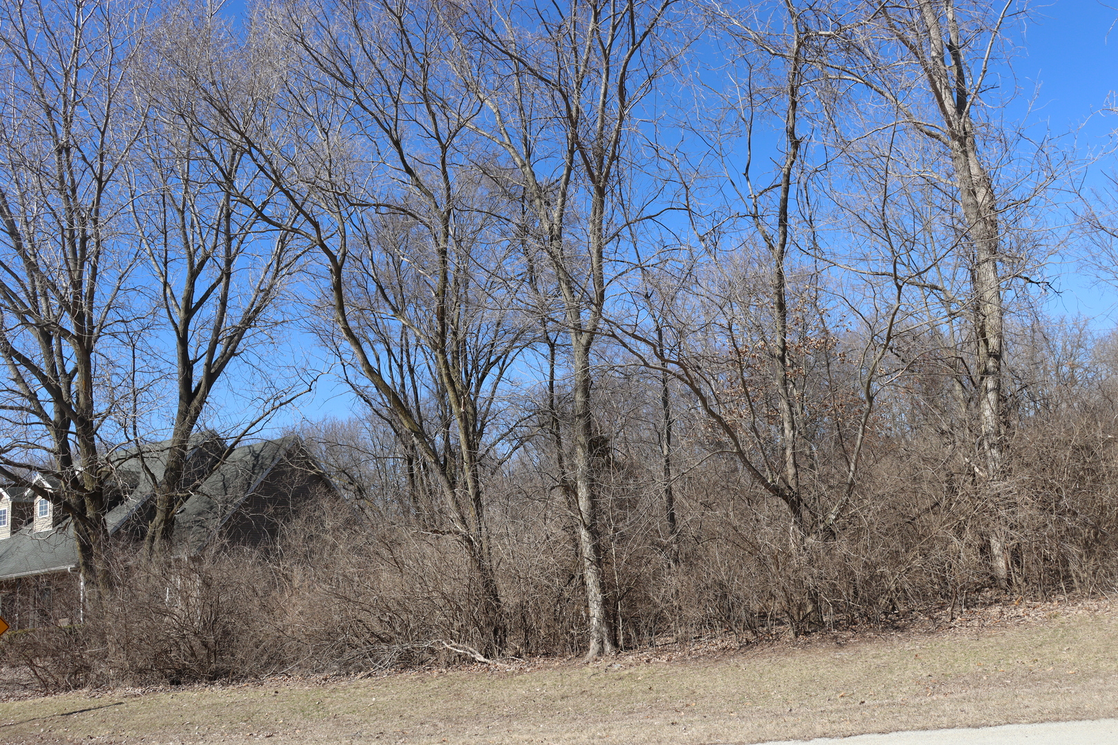 35 Birchwood Lane Property Photo 2