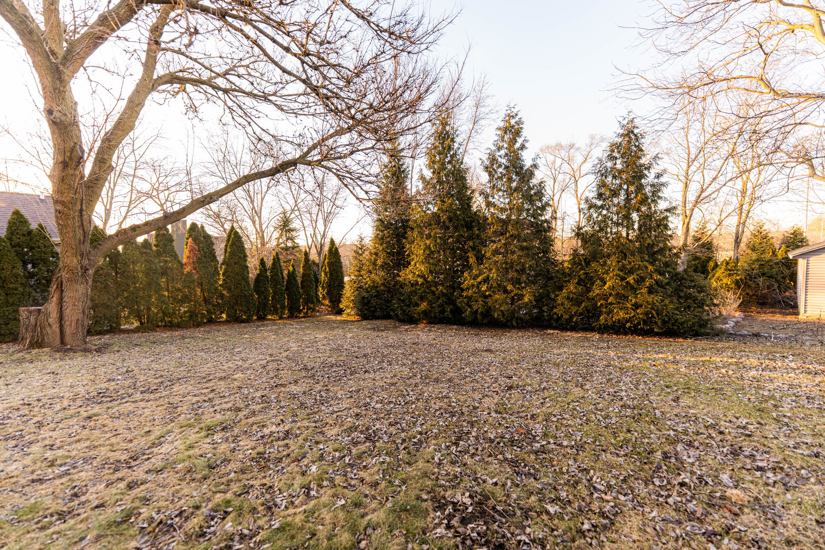 2217 Warrenville Avenue Property Photo 37
