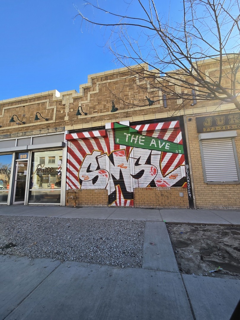 517 E 47th Street Property Photo