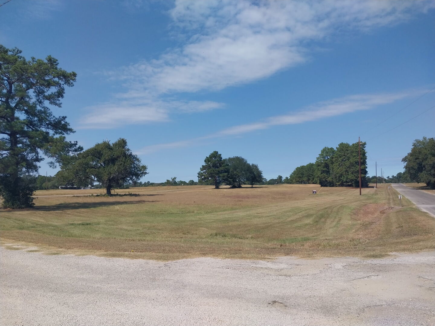 Texas Real Estate Listings Main Image