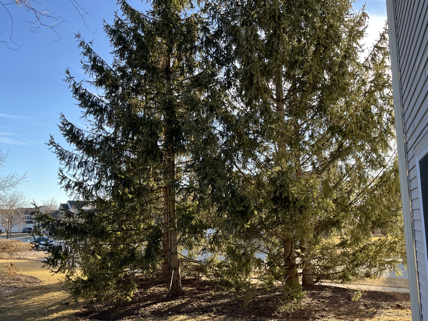 285 Thornwood Way F Property Photo 4