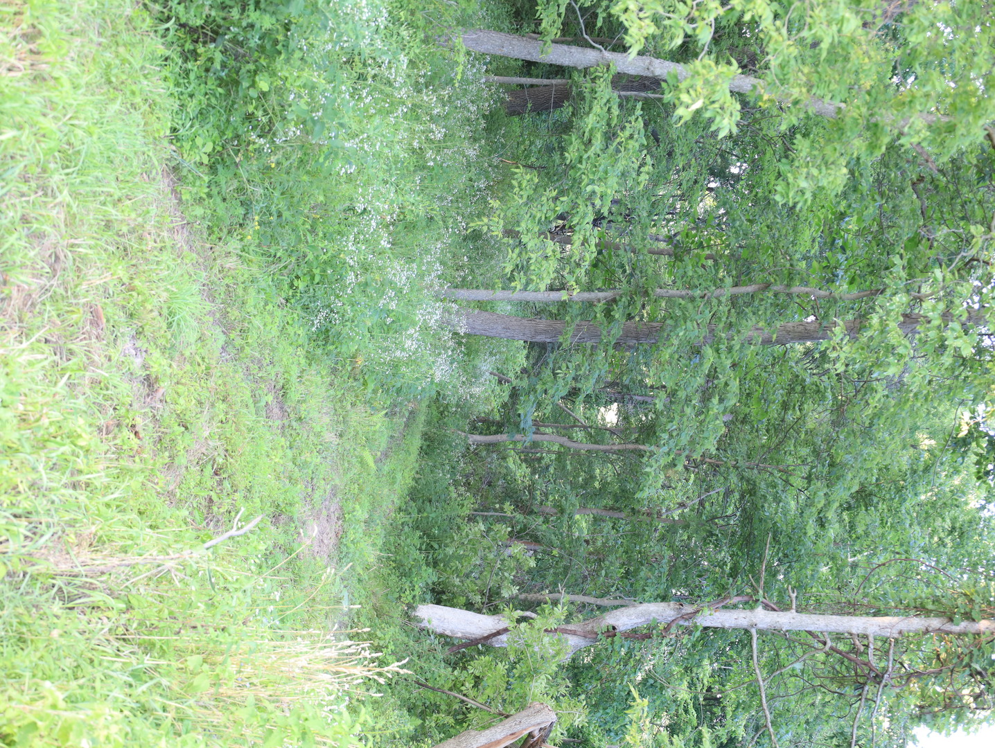 000 W Steele Road Property Photo 52