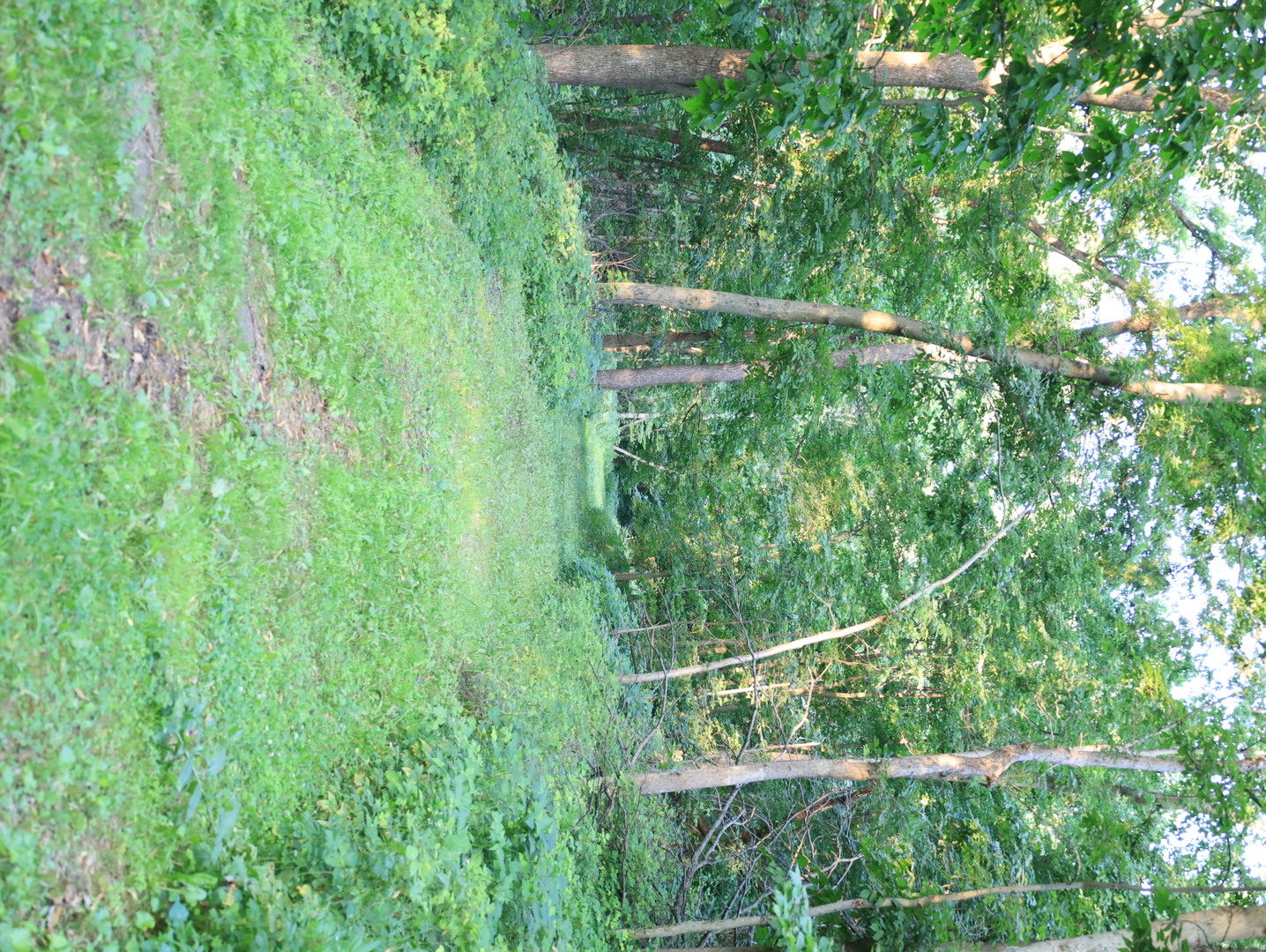 000 W Steele Road Property Photo 61