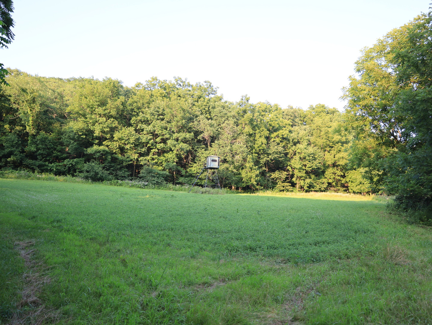 000 W Steele Road Property Photo 75