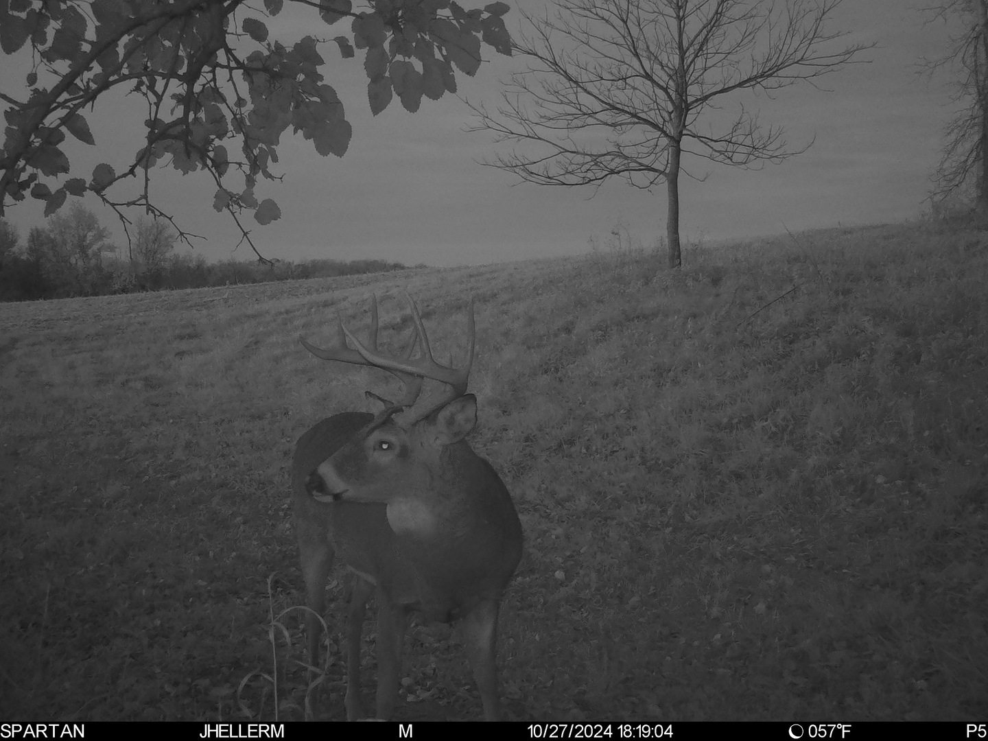 000 W Steele Road Property Photo 77