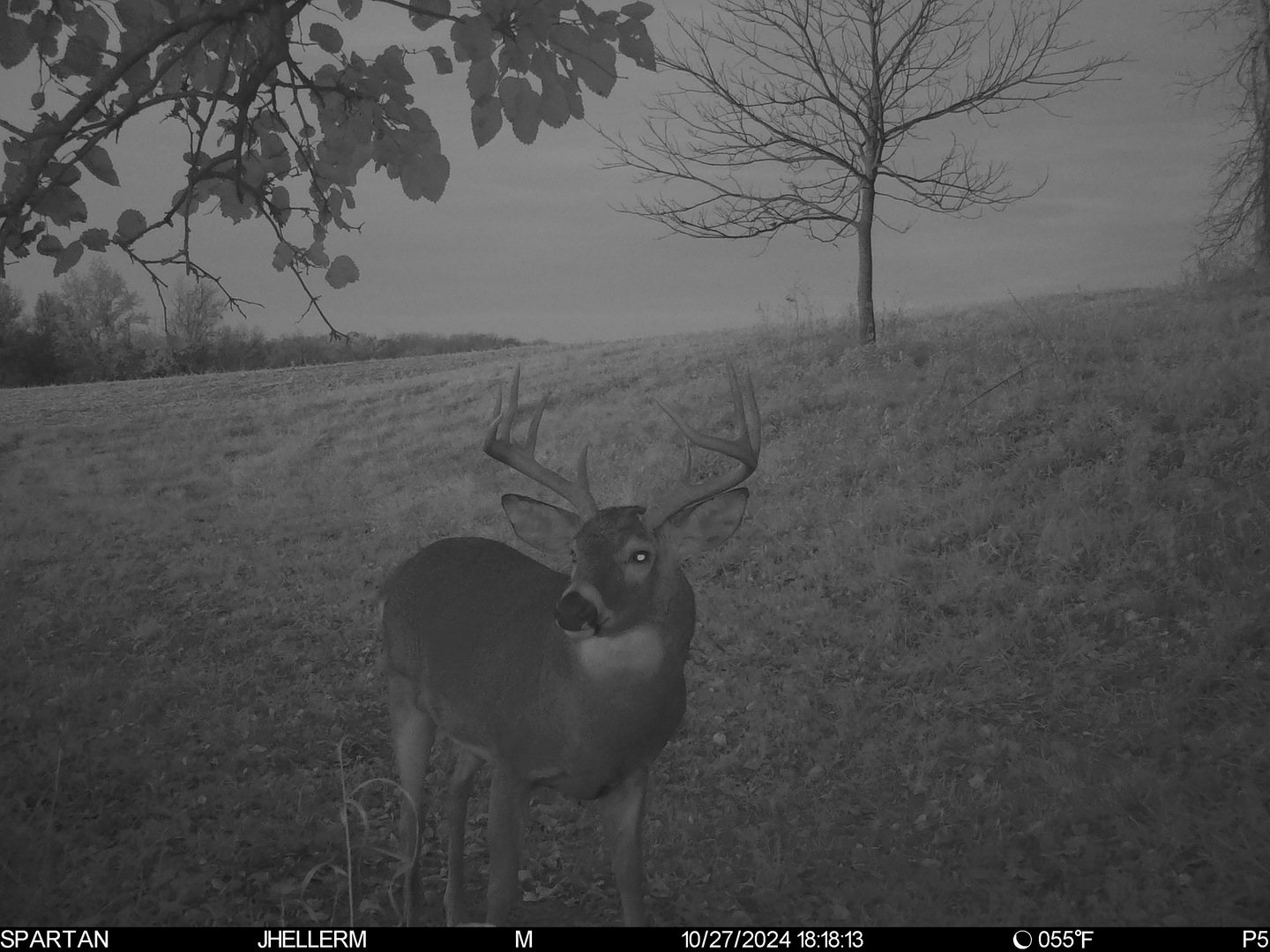 000 W Steele Road Property Photo 88