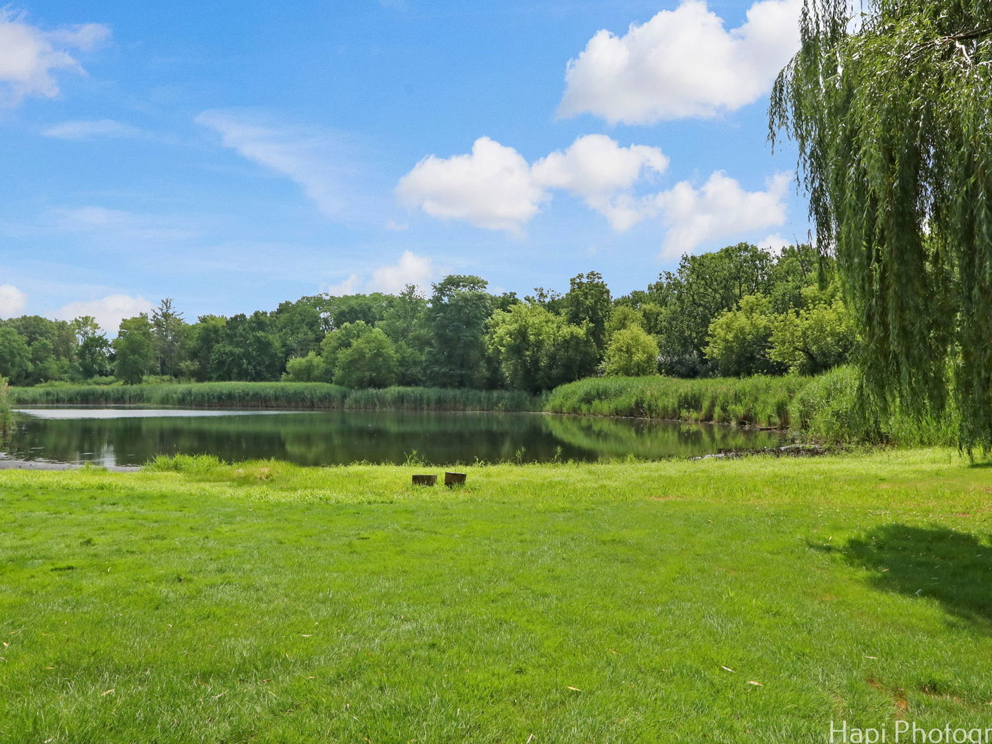 25696 W Chatham Road Property Photo 8