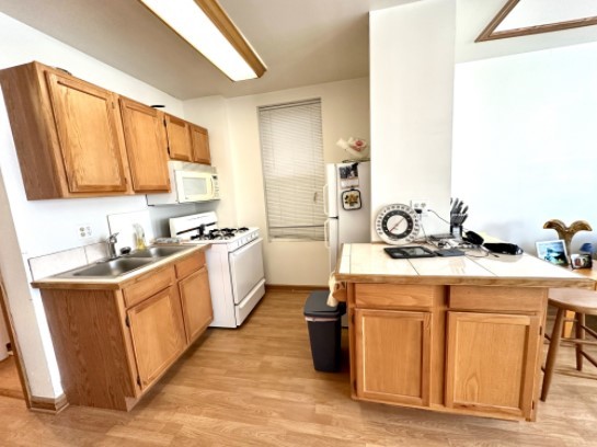 3463 S Lituanica Avenue Property Photo 4