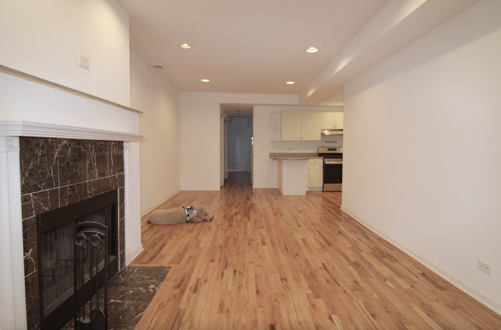 1454 W Walton Street Property Photo 6