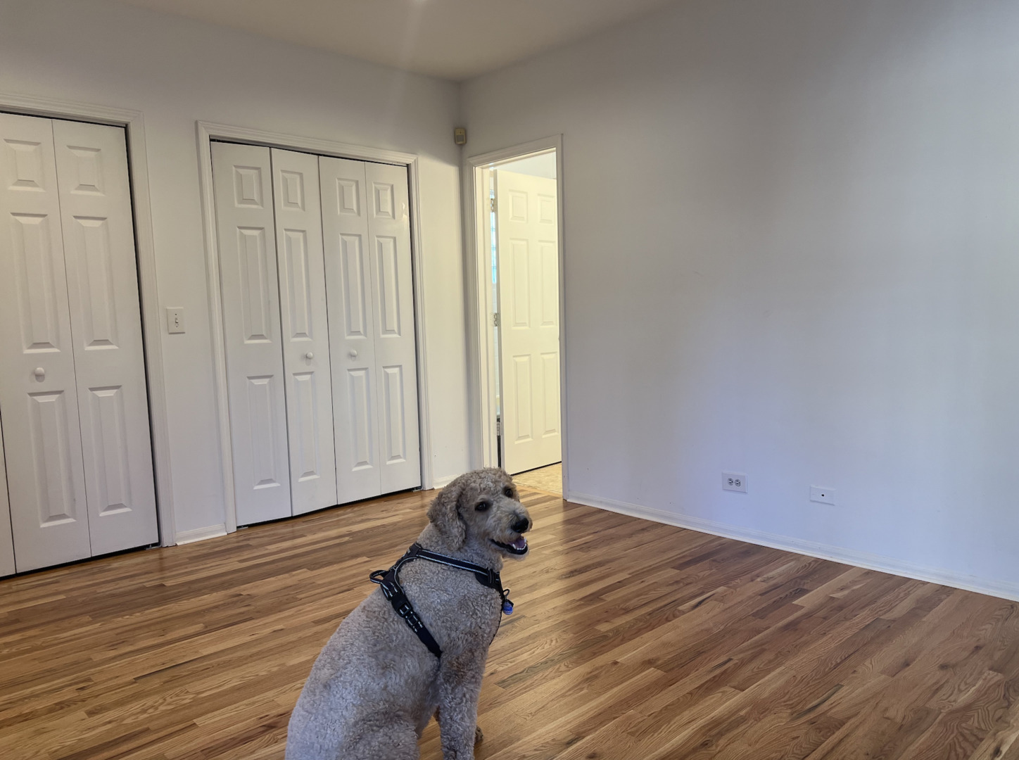 1454 W Walton Street Property Photo 16