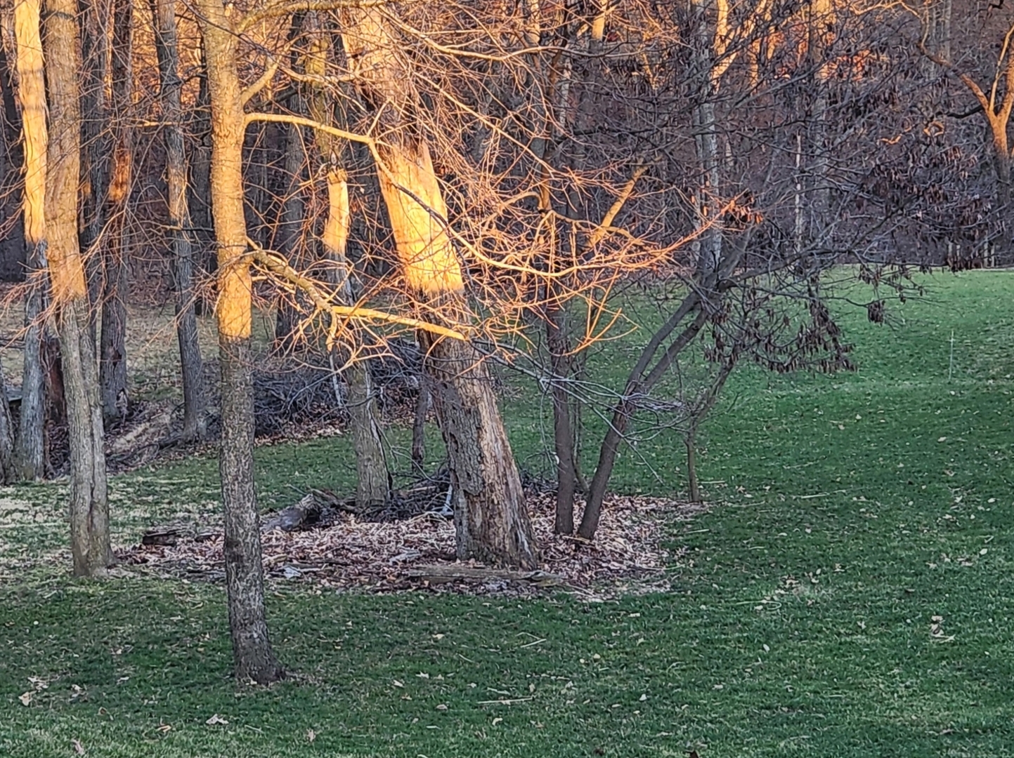 Lot 1641 Tanglewood Drive Property Photo