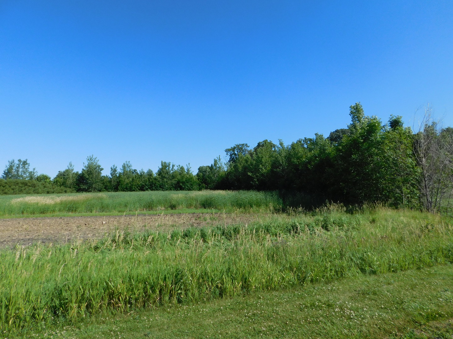 1386 N 4535th Road Property Photo 2