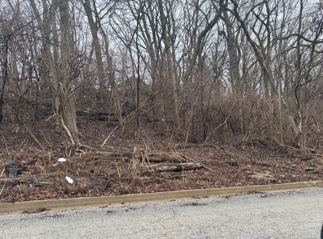 Lot 26, Block 1 Vacant N Fairview Avenue Property Photo