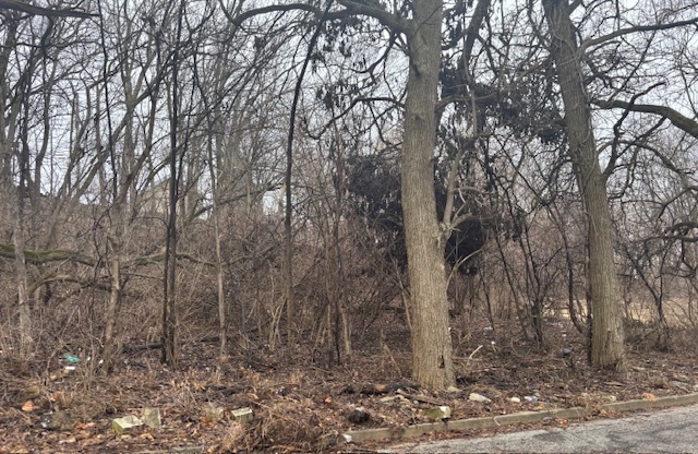 Lot 27, Block 1 Vacant N Fairview Avenue Property Photo