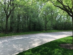 1613 Wedgewood Drive Property Photo 4