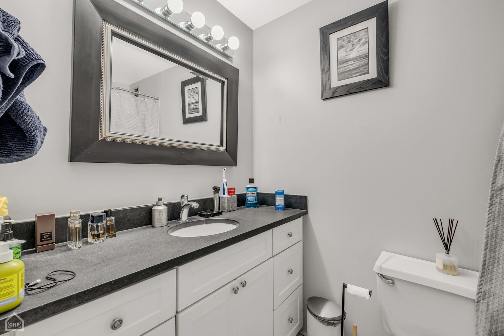 1636 N Wells Street 709 Property Photo 12