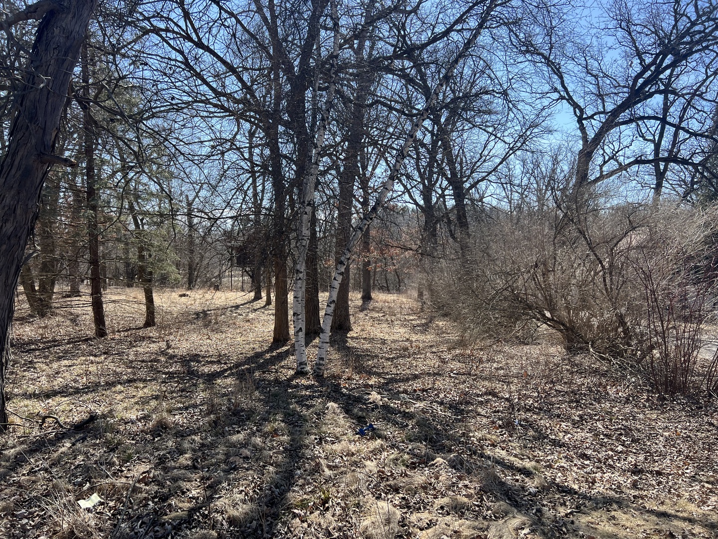16524 Grove Creek Circle Property Photo