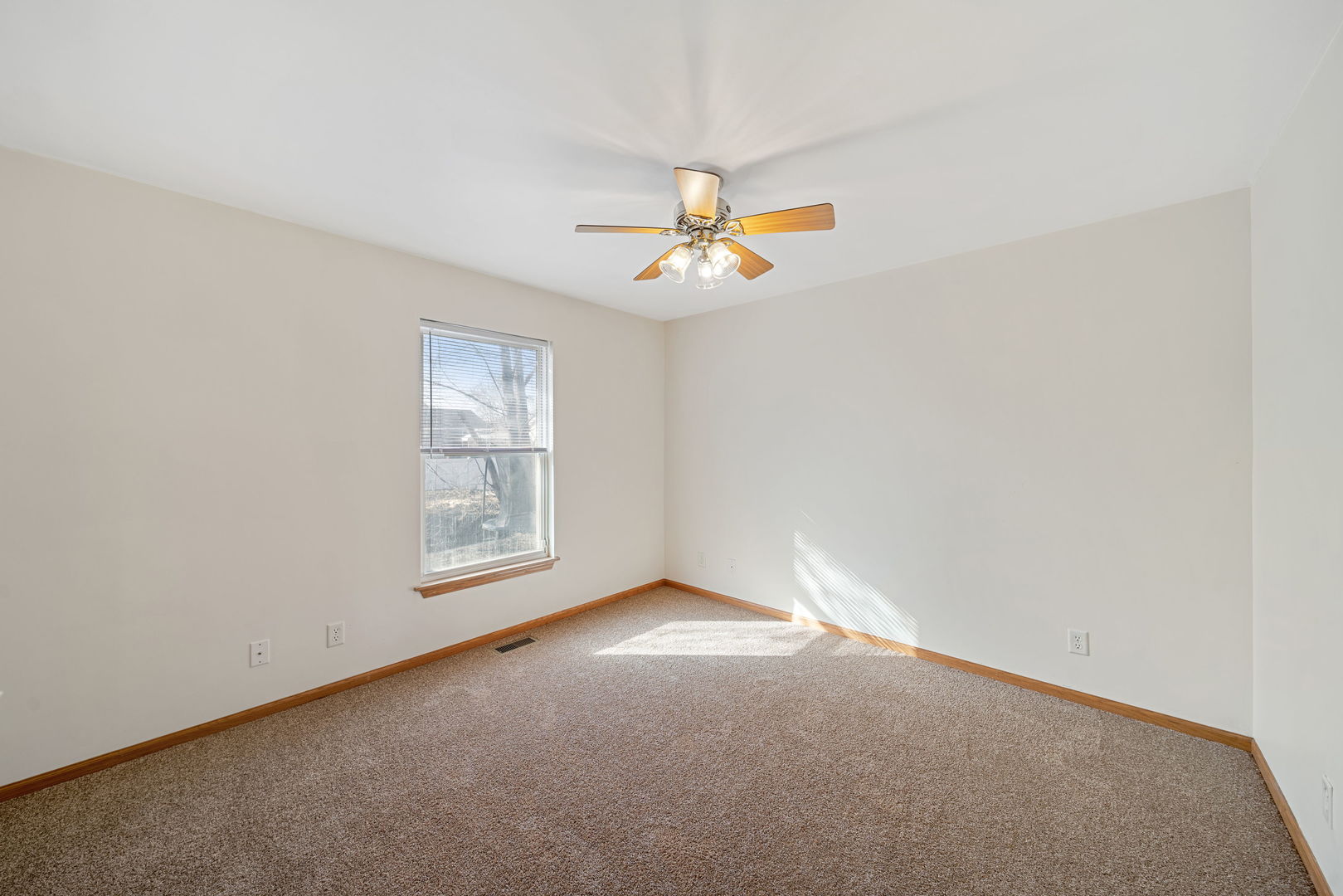 257 Ellen Street Property Photo 7